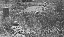 封德的照片,镜头下的风采瞬间