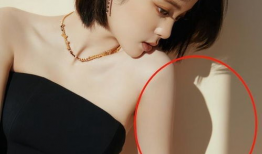 扁身材明星,揭秘扁身材明星的独特风采