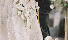 新娘结婚照片,新娘结婚照中的幸福时光