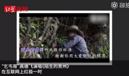网红乞丐哥在哪直播,揭秘他的直播平台与热门话题