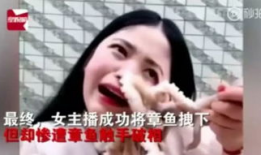 女网红章鱼直播婚礼