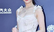 蒋的女明星,璀璨星途背后的故事