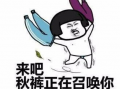 天冷忘穿秋裤表情包,天冷忘穿秋裤表情包背后的幽默与温情”
