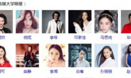 娱乐圈报名,明星阵容揭晓，年度盛宴即将开启