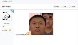 汉字听写大会 表情包