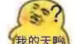 天冷忘穿秋裤表情包,天冷忘穿秋裤表情包背后的幽默与温情”