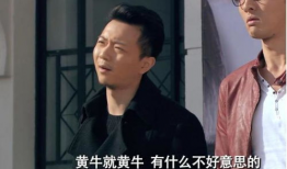 娱乐圈黄牛,揭秘幕后黑手，揭秘明星票务乱象