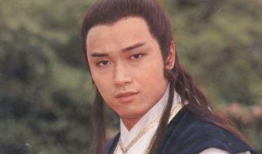 杨康美个人资料,才华横溢的艺术家，人生轨迹与艺术成就的完美融合