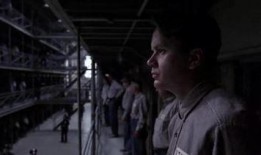 高分搞笑励志电影,笑对困境，成就辉煌