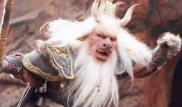 关爱八卦牛魔王