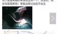 花椒平台女主播黄鳝,网络红人的崛起与争议