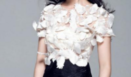 蒋的女明星,璀璨星途背后的故事