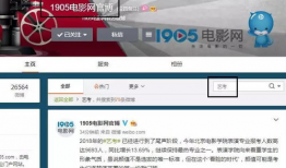 娱乐圈报名,明星阵容揭晓，年度盛宴即将开启