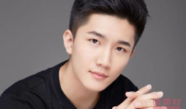 文杰个人资料,才华横溢的青年才俊，多领域成就斐然