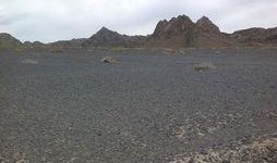 新疆戈壁滩的资料,荒漠中的奇迹之地