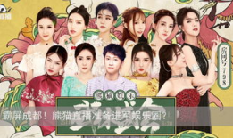 娱乐提,盘点年度热门影视作品与明星风采