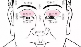 八卦脸上长志